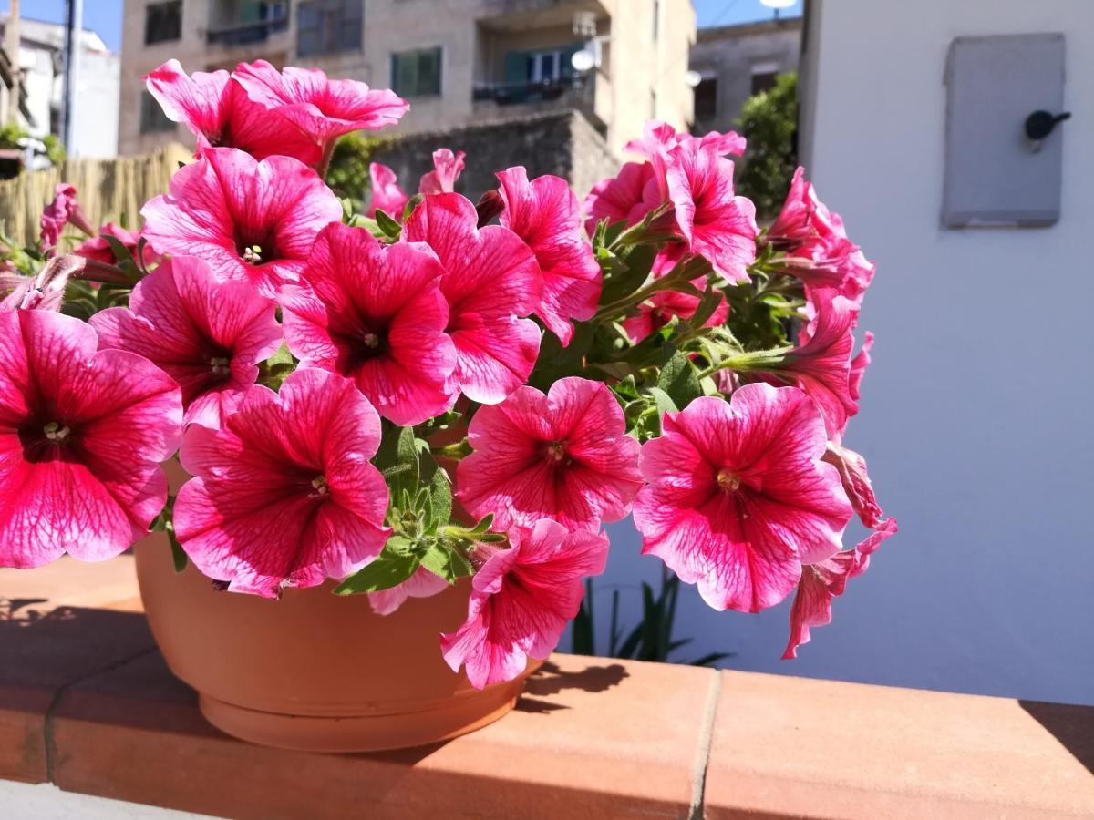 La Casetta Cetraro Esterno foto